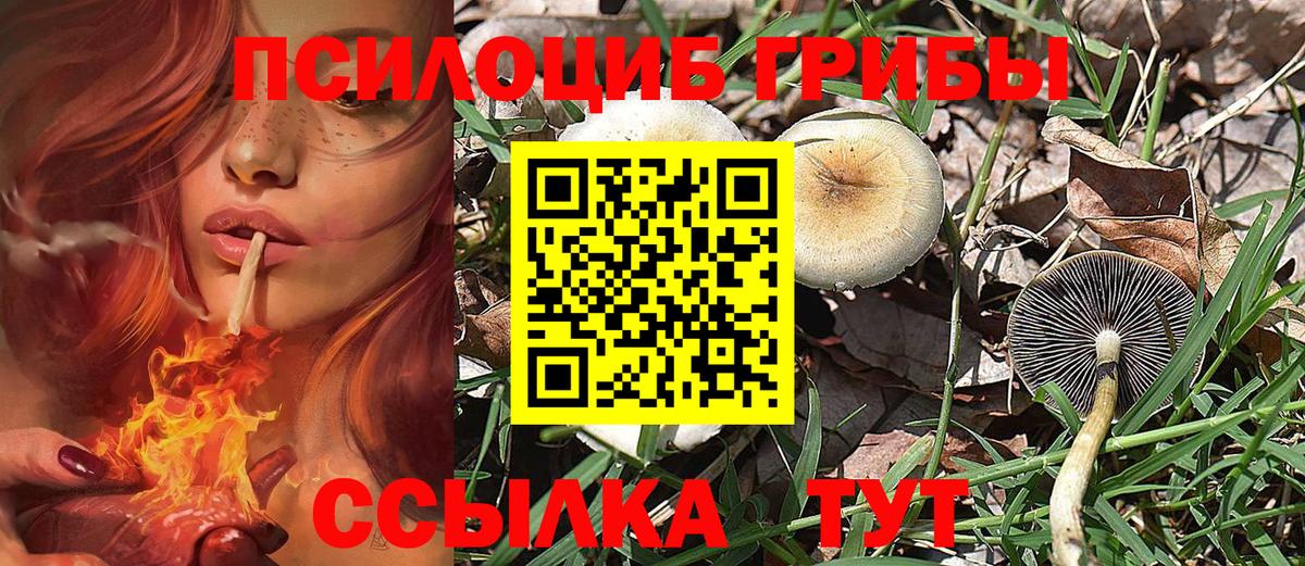 Псилоцибиновые грибы ЛСД  Вход с VPN  Тамбов 